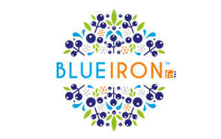 Blue Iron Logo